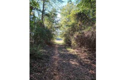 FM 3001, Marshall, TX 75670