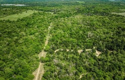 7266 County Road 449, Marquez, TX 77865