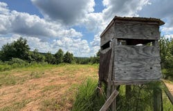 County Road 310, Roanoke, AL 36274