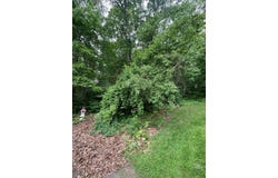 Sion Street, Fall River, MA 02721