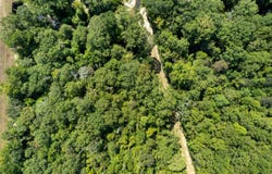 Hwy 98, Beaumont, MS 39423