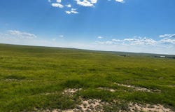 County Road 53, Ault, CO 80610