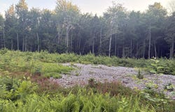 87 Stony Brook Lane Rd, Becket, MA 01223