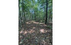 Parkstown Rd., Wilder, TN 38589