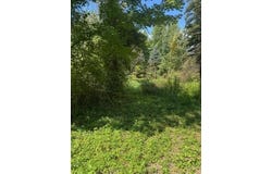 Parcel B Maple Grove, Hastings, MI 49058