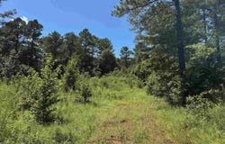 SANFORD LANE, Dubach, LA 71251