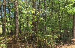 1 Lanyard Circle, Salem, SC 29676