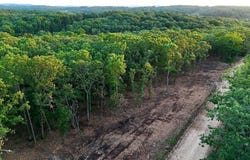 003 Cantrell Road, Mansfield, MO 65704