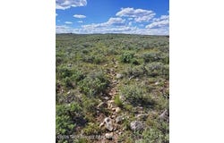 WHITE BEAR Road, Daniel, WY 83115