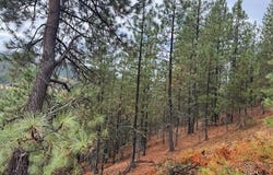 NKA Parcel A, Pinehurst, ID 83850