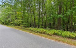 Edes Falls Road, Harrison, ME 04040