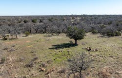 Stagecoach Trail, Gordon, TX 76453