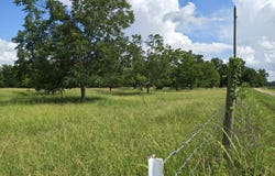 Pud Clack Rd, Oak Ridge, LA 71264