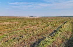 Road, Sharon Springs, KS 67758
