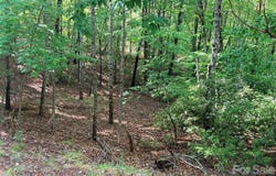 Mcdaniel Court, Lake Lure, NC 28746