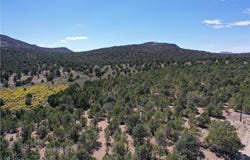 Side Hill Pass lot: 1-D, Pioche, NV 89043