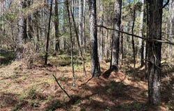 6.1 acres Bent Twig Lane, Brookwood, AL 35444