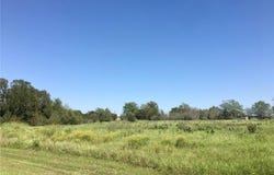 Scarborough Drive, Iola, TX 77861