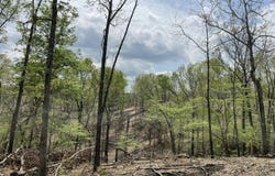 St Hwy N Tract E, Ava, MO 65608