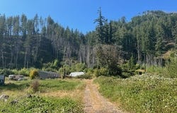 49631 MCKENZIE Hwy, Vida, OR 97488