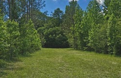 Case Rd, Slocomb, AL 36375