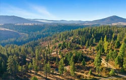 1435 Canyon Ridge Ln, Plummer, ID 83851