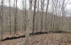 W Bobcat Lane lot: 60, Wilder, TN 38589