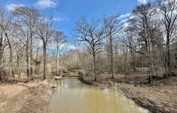 2 Evans Road, Carthage, MS 39051