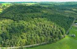 1738 Jennings Rd, Millerton, PA 16936