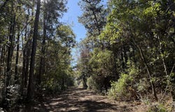 1210 Delapointe Drive, Gautier, MS 39553