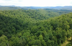SALTLICK Road, Terra Alta, WV 26764