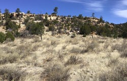 3239 Hwy 53, Ramah, NM 87321