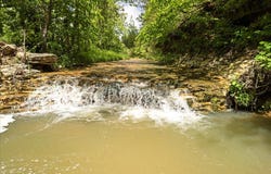 Shelton Road, Willow Springs, MO 65793