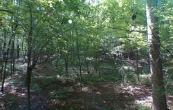 Briarpatch Drive, Covington, GA 30014