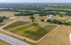 25270 E State Highway 6, Hico, TX 76457