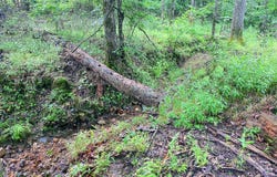 92 Eagle Nest Lane, Broken Bow, OK 74728
