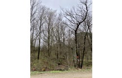 6853 N 7 Rd, Mesick, MI 49668