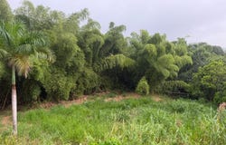 Cidra, Cidra, PR 00739