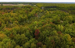 W Sharon Road, Fife Lake, MI 49633