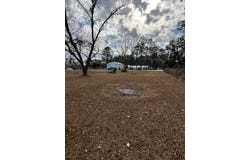 Highway 441, Homerville, GA 31634