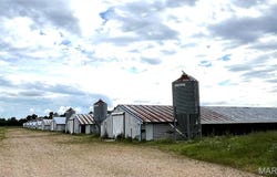 7424 County Road 420, Dudley, MO 63960