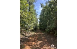 Martin Road;, Greensboro, AL 36744