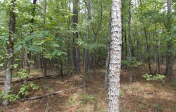 11 Doe Run, Lincolnton, GA 30817