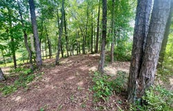 Waterside Point Lot 22, Abbeville, SC 29620