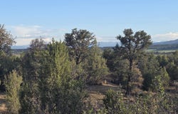 TBD CR 329, Ignacio, CO 81137