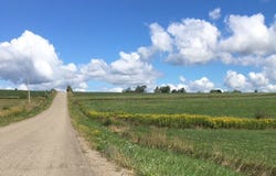 Tucker Road E, Campbell, NY 14821