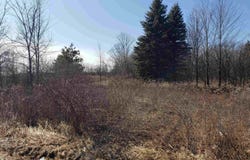 BIALOZYNSKI Road, PULASKI, WI 64162