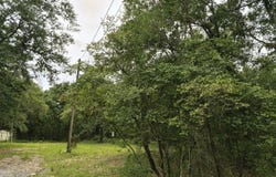 DeFuniak Springs, FL 32433