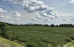 Near 685 Rossie Ober Road, Whiteville, NC 28472