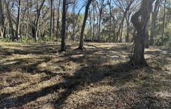 83rd Rd, Old Town, FL 32680